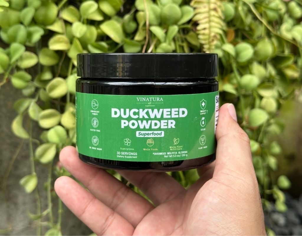 Vinatura Duckweed Powder Superfood Review