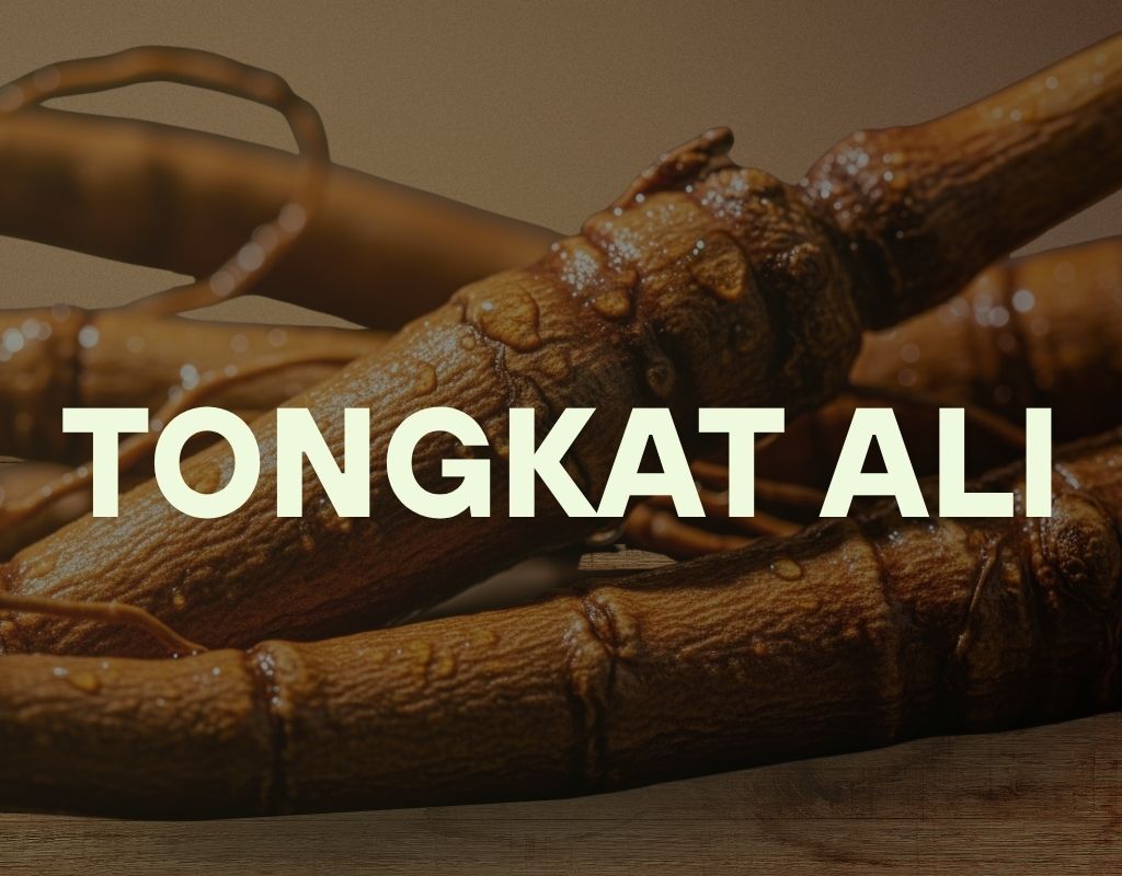 Warnings and Side Effects of Tongkat Ali Part 1