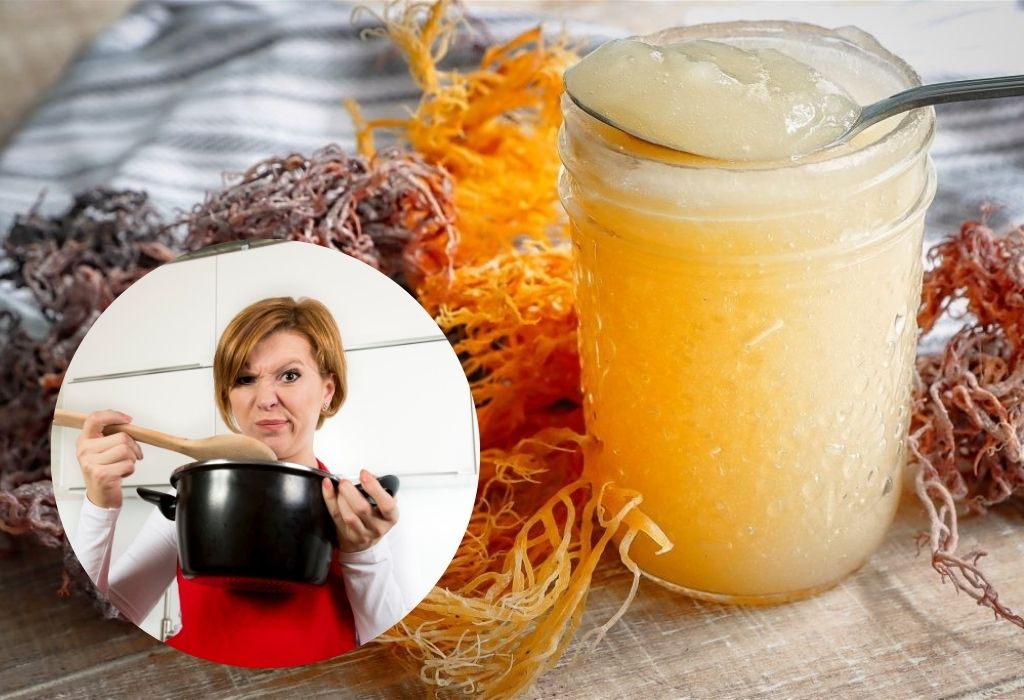 what does sea moss taste like