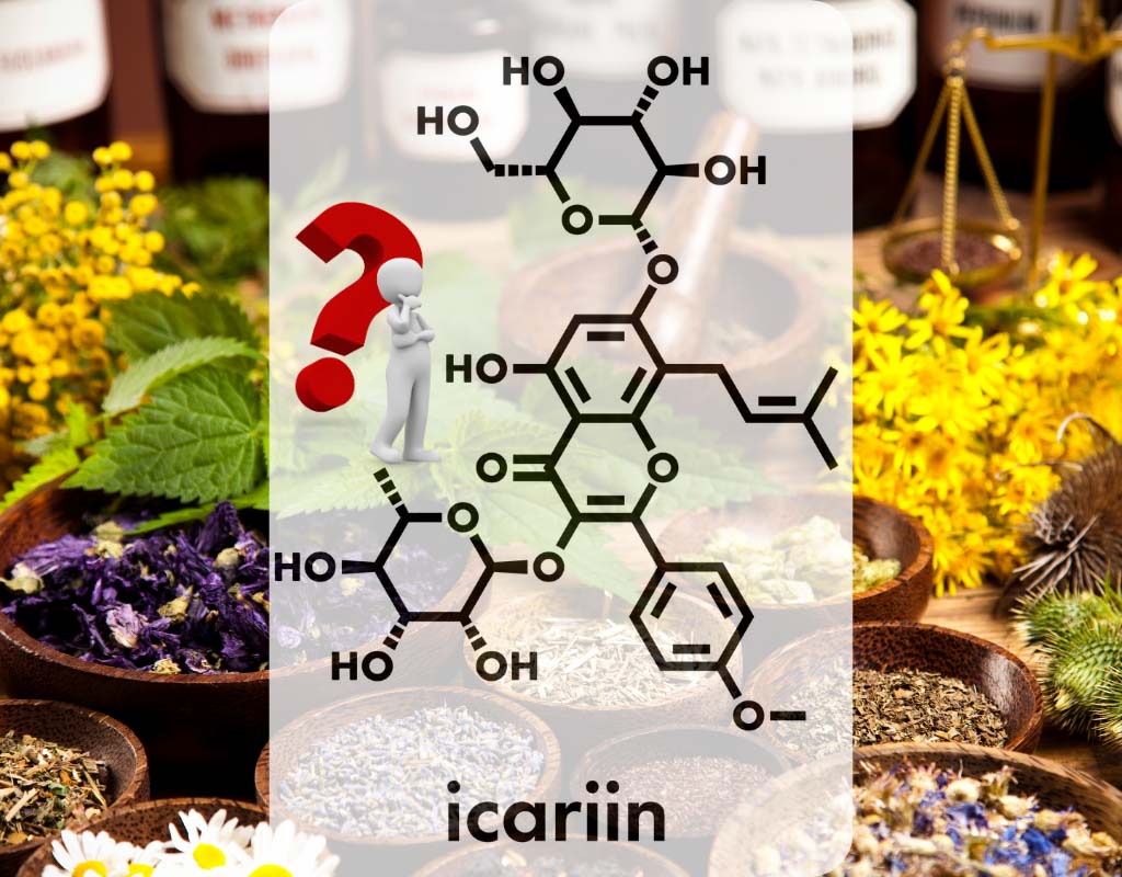 what food contain icarrin