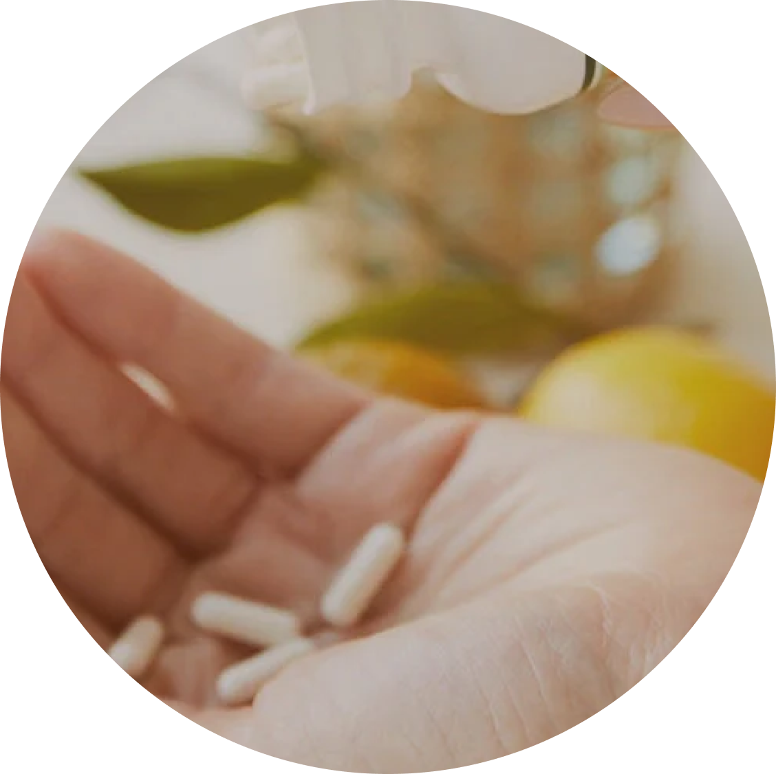 Passionate about Wellness, Committed to Quality