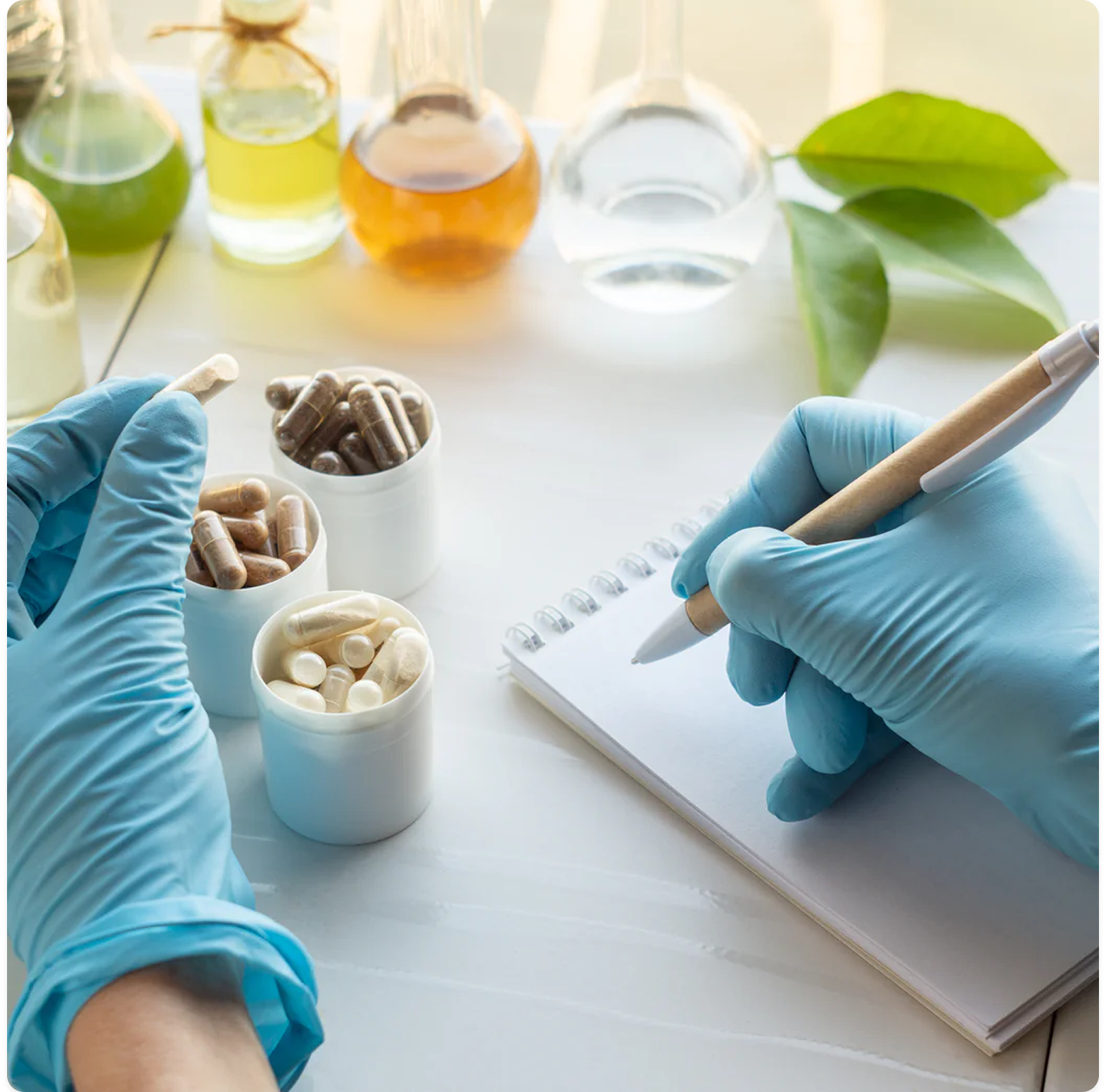 Why Clean Label Project Certification Matters?