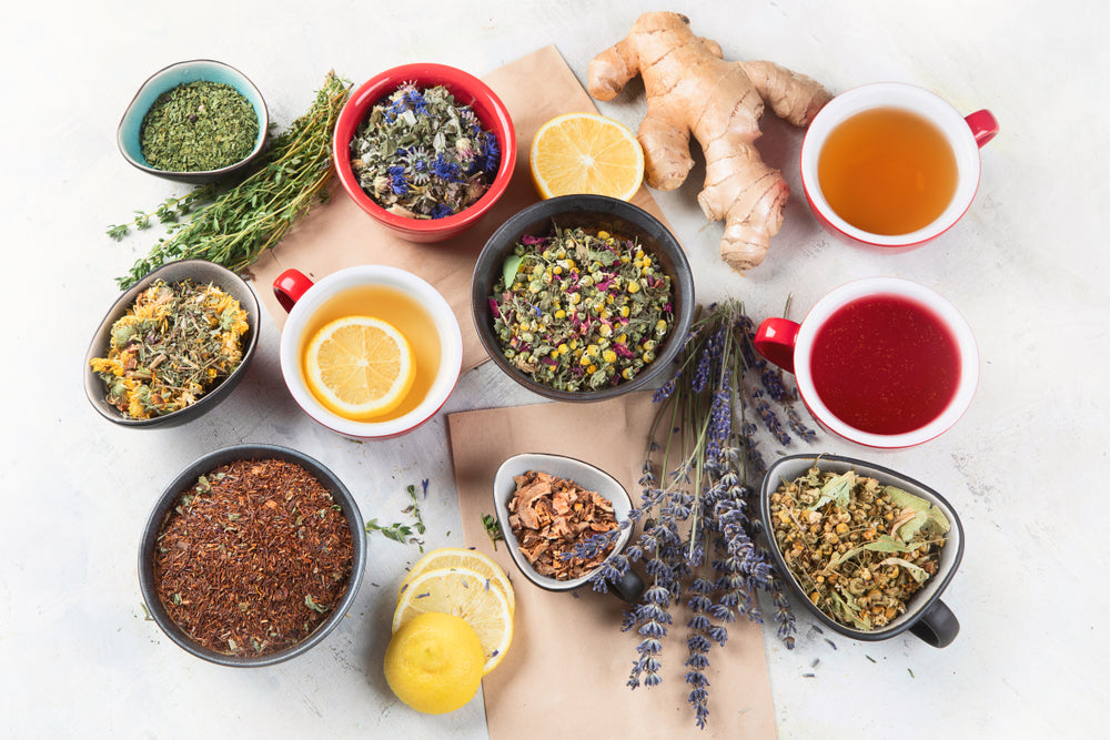 Passionate about Wellness, Committed to Quality