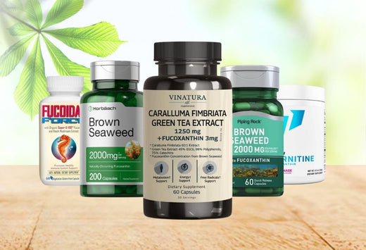 best fucoxanthin supplement