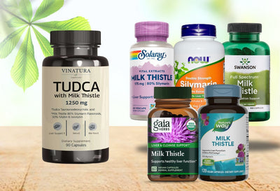 Best Silymarin Supplements for Liver Support 