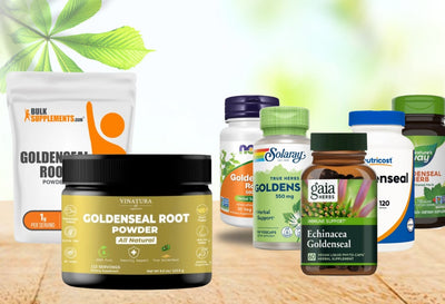Best Goldenseal Root Supplements for Immune Support