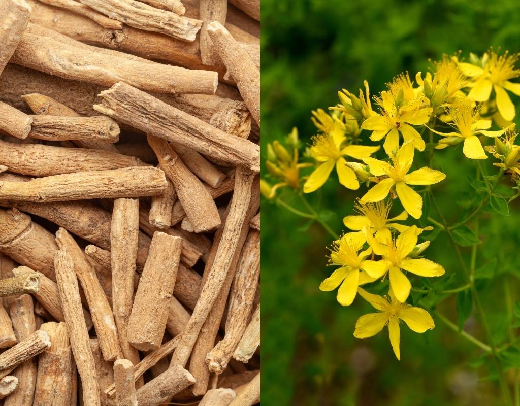 Ashwagandha vs St John’s Wort