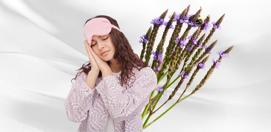 Benefits Of Blue Vervain For Sleep