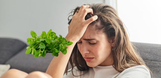 Benefits of Spearmint For Anxiety