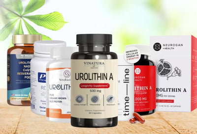 6 Best Urolithin A Supplements for Healthy Aging and Muscle Health