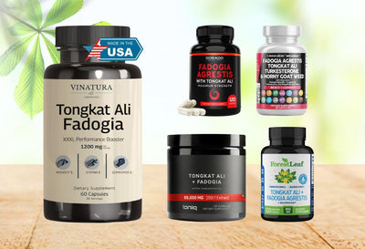 Best Tongkat Ali & Fadogia Agrestis Supplements for Men Health