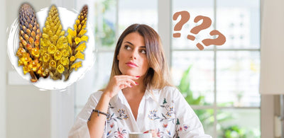 cistanche benefits for female