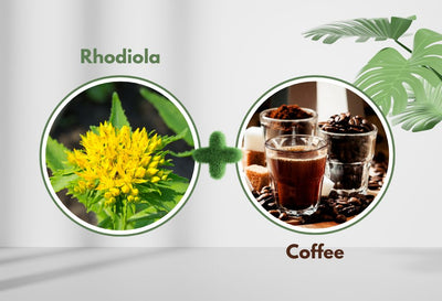 Can You Take Rhodiola With Coffee