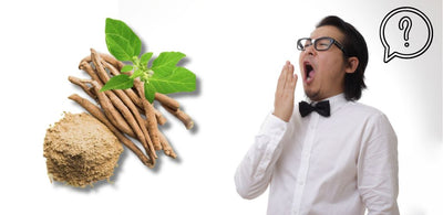 Does Ashwagandha Make You Sleepy
