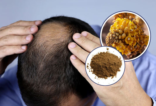 Does Cistanche Cause Hair Loss