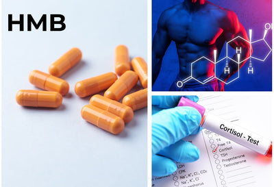 Does HMB Increase Testosterone?