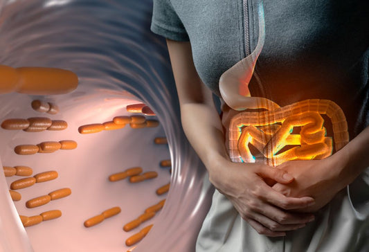 Does Lactobacillus Gasseri Benefit For Constipation
