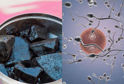 Does Shilajit Increase Sperm Count
