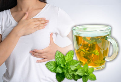 Does Spearmint Tea Increase Breast Size