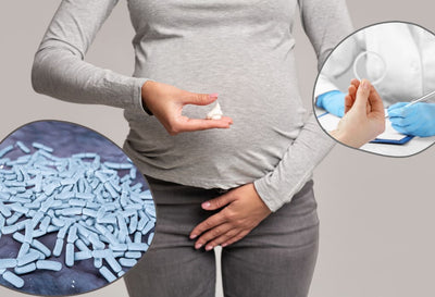 How Does Lactobacillus Gasseri Benefit for Vaginal Health