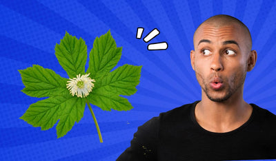 How To Use Goldenseal for Tooth Infection