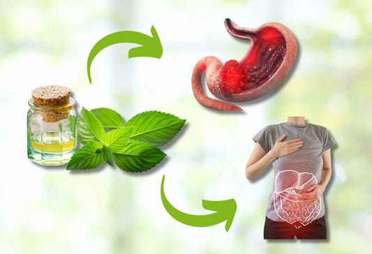 Is Spearmint Good for Your Stomach And Digestion