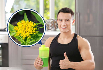 Rhodiola Benefits for Male