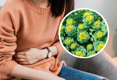 Rhodiola Rosea for PCOS