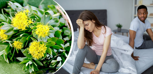 What Are Rhodiola Sexual Benefits: Libido, ED & Sex Dysfunction?