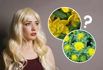 Rhodiola Vs St John's Wort