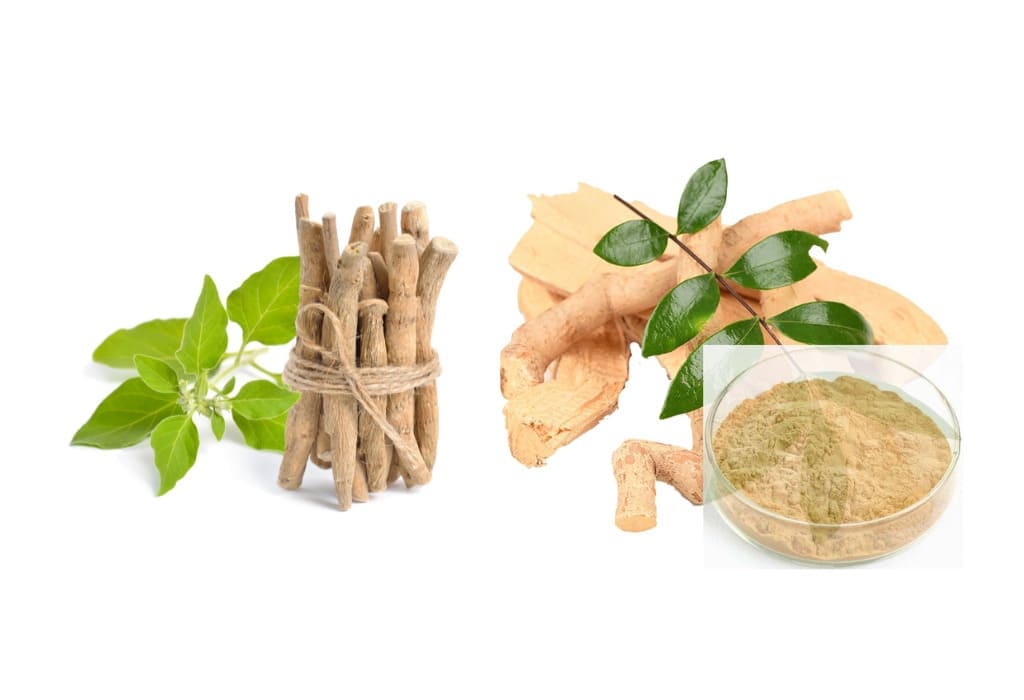 Tongkat Ali Vs Ashwagandha