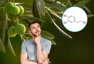 benefits of hydroxytyrosol