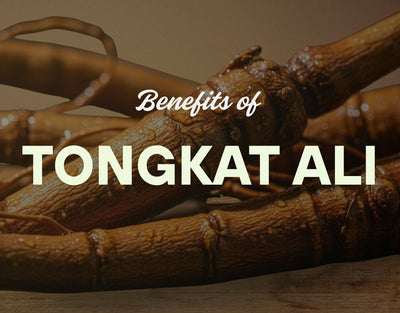 benefits of tongkat ali
