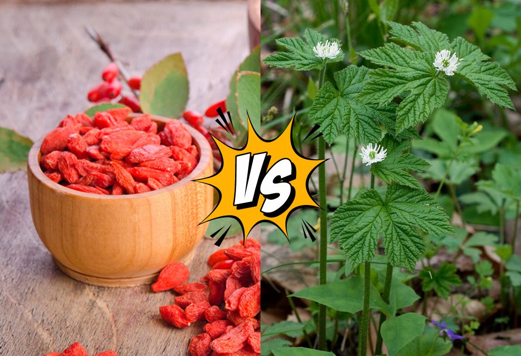 berberine vs goldenseal