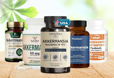 best akkermansia supplements for gut health