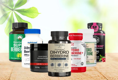 best dihydroberberine