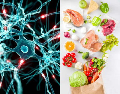 best foods for cellular health
