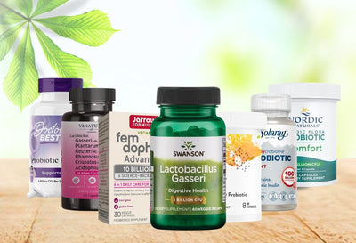 best lactobacillus gasseri probiotic supplements