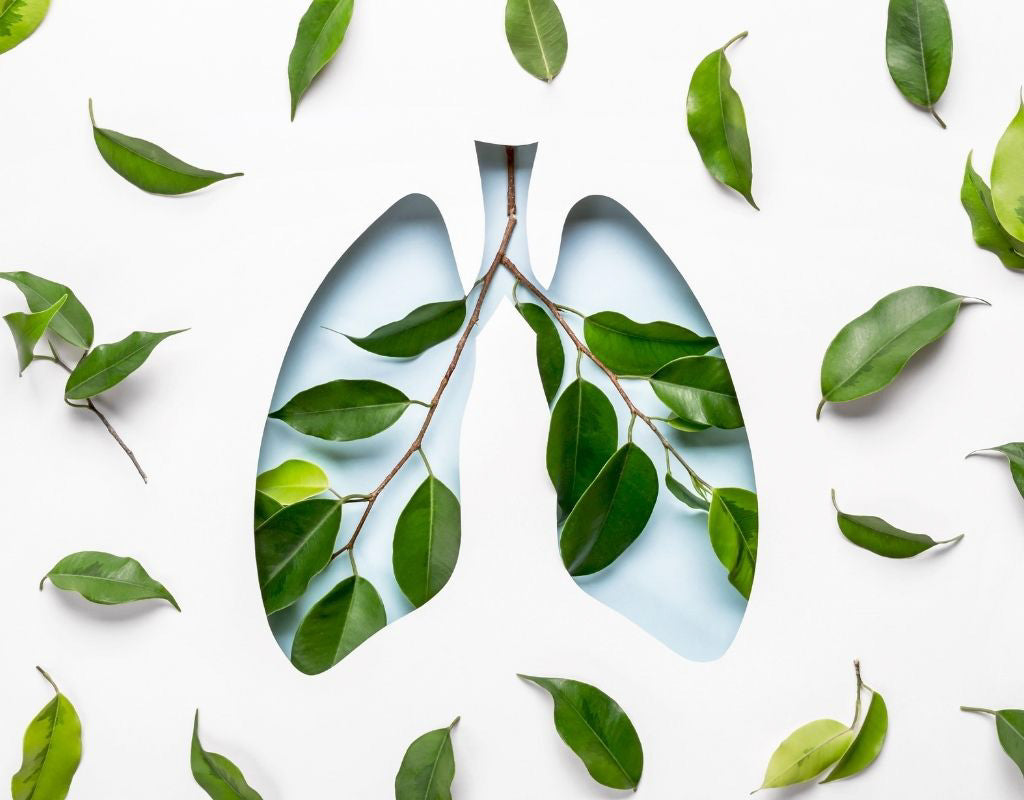 Best Teas for Lung Health
