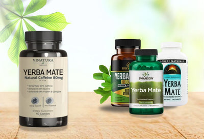 best yerba mate brand