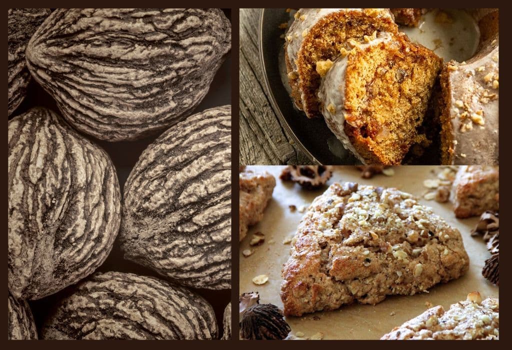 black walnut recipes
