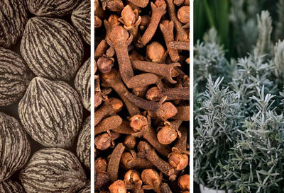 can you combine clove black walnut wormwood