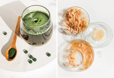 chlorella vs sea moss