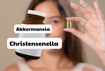 christensenella and akkermansia