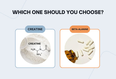Creatine or Beta-Alanine
