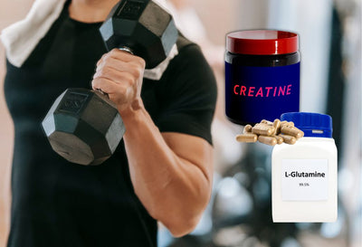 Creatine Vs Glutamine