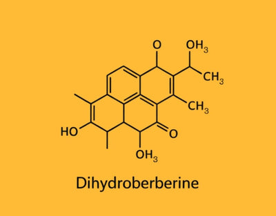 Dihydroberberine Benefits: A Comprehensive Guide