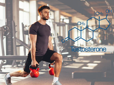 do leg workouts increase testosterone