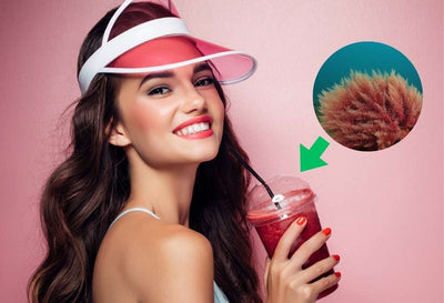 does sea moss detox your body