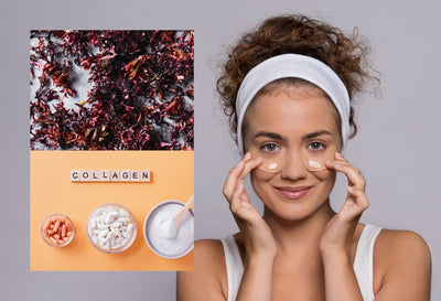 does sea moss have collagen